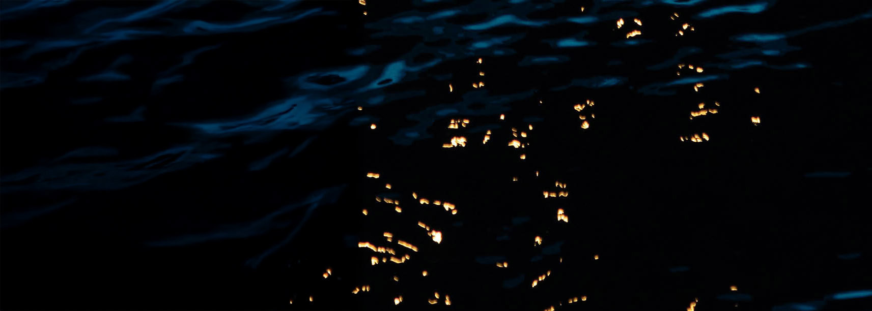 Mörkt vatten med mareld