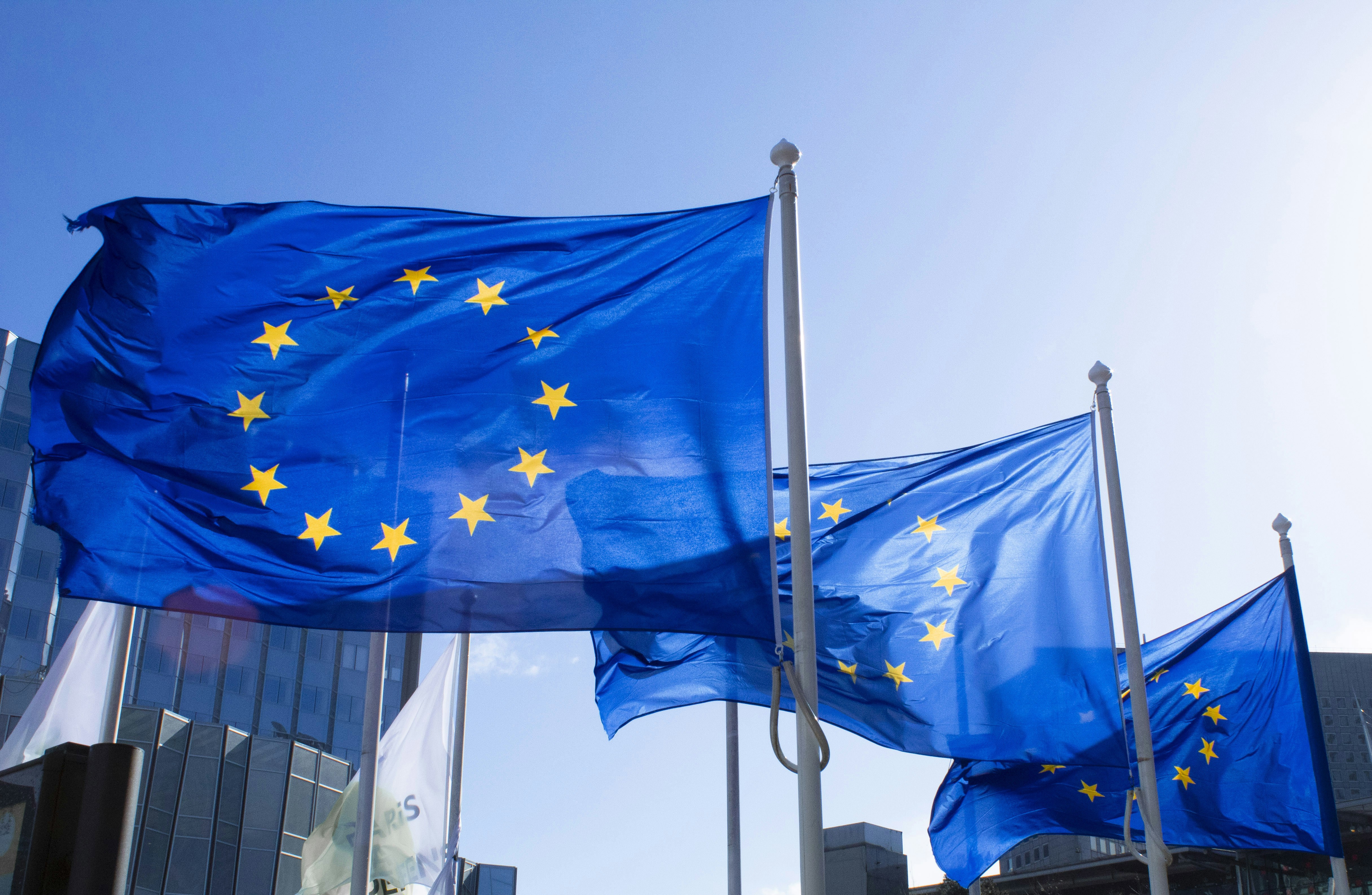 EU-flagga