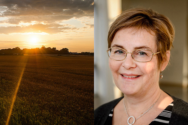 collage soluppgång över fält och leende Annika Olsson