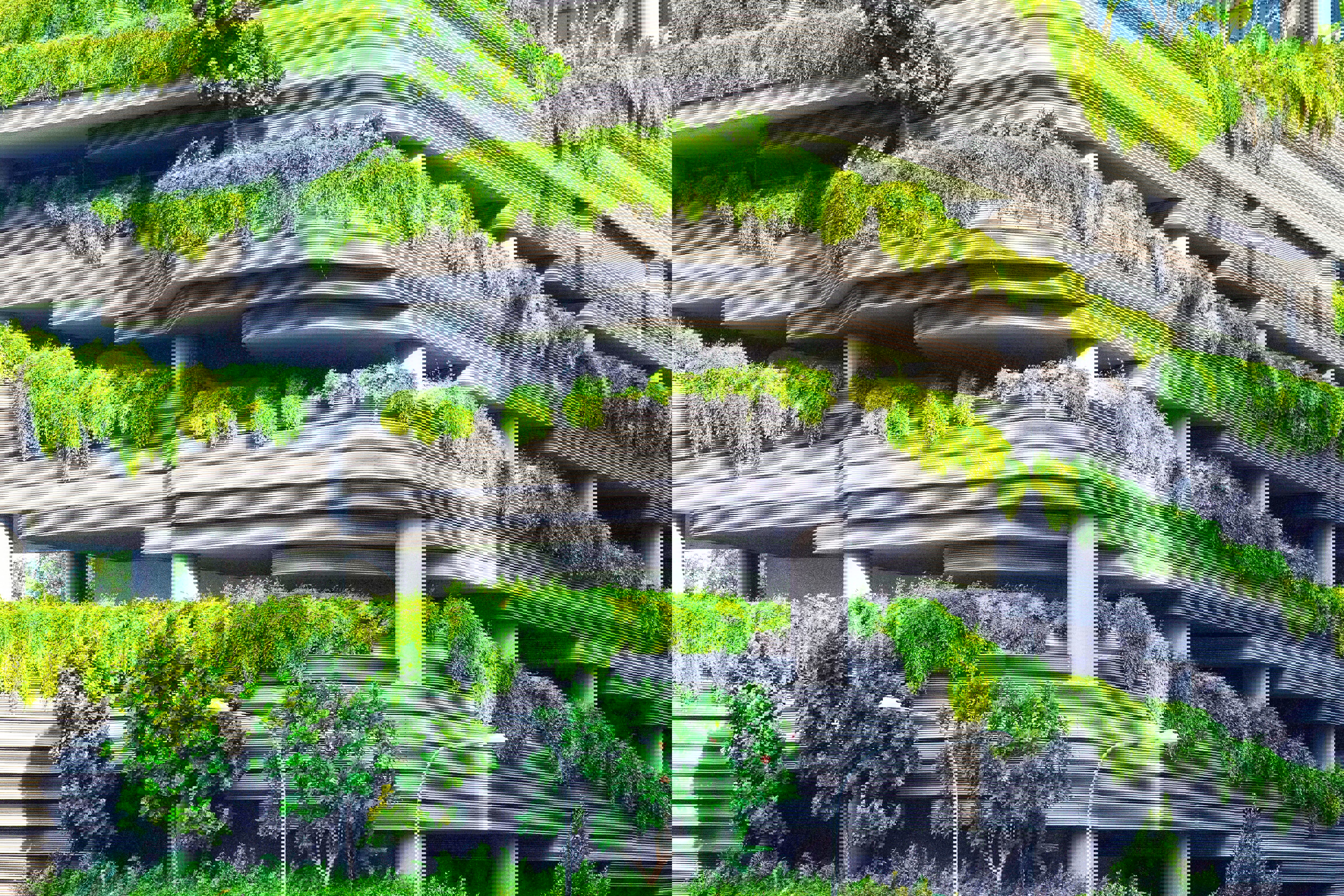 concrete building covered in vegetation